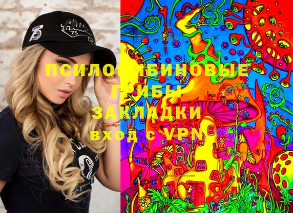 мдма Новозыбков